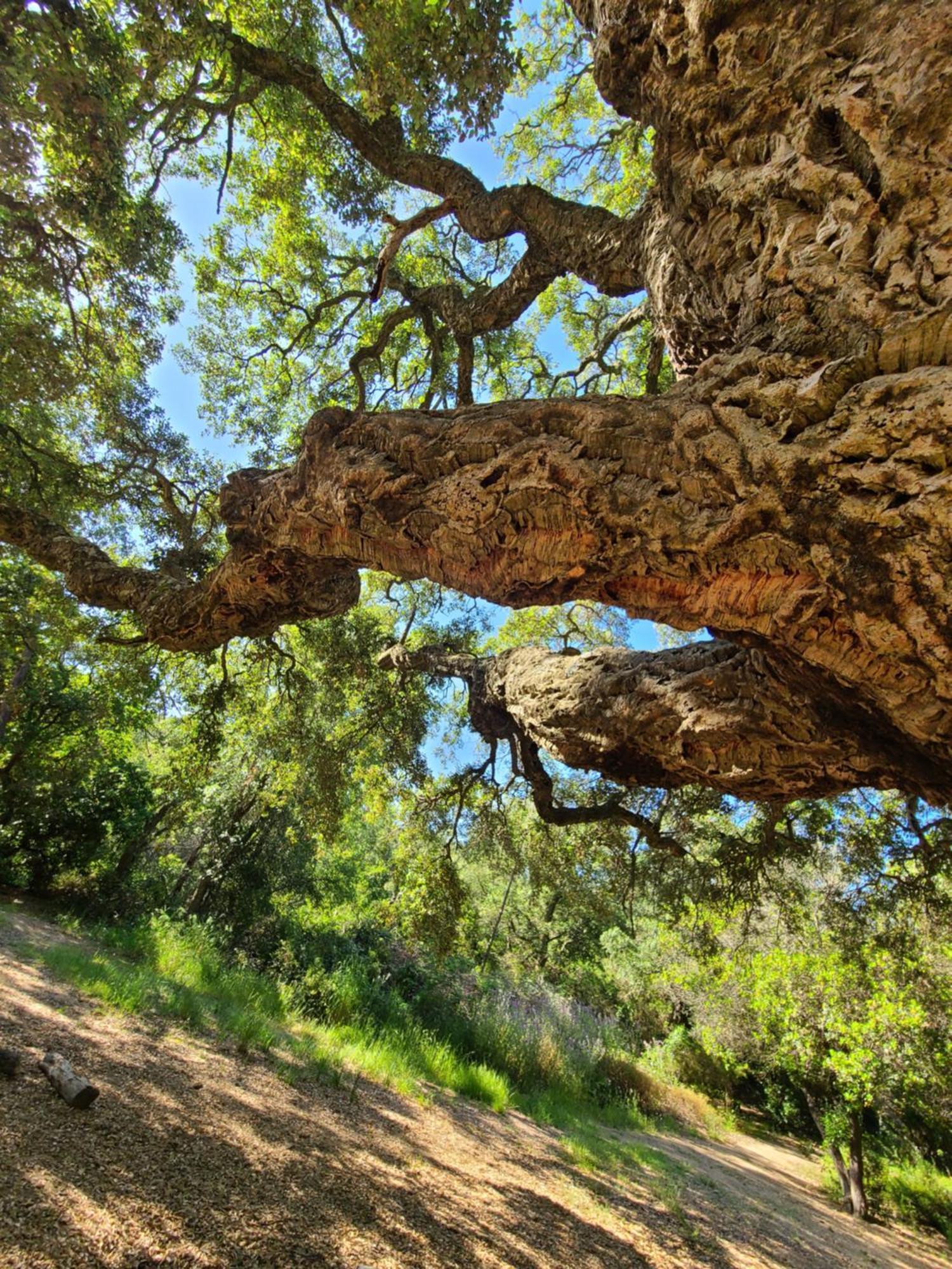 Evasion Nature A Cap Esterel Jardin, Mer & Golf Tout Confort Saint-Raphaël Extérieur photo